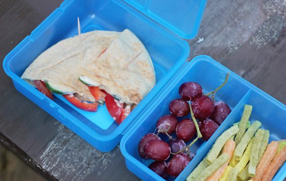 How to Make an After-School or Road Trip Snackle-Box for Hangry Kids -  Fresh Mommy Blog