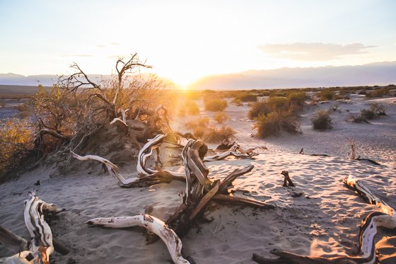 11 Photos That Will Make You Want To Visit Death Valley 6 Daily Mom, Magazine For Families