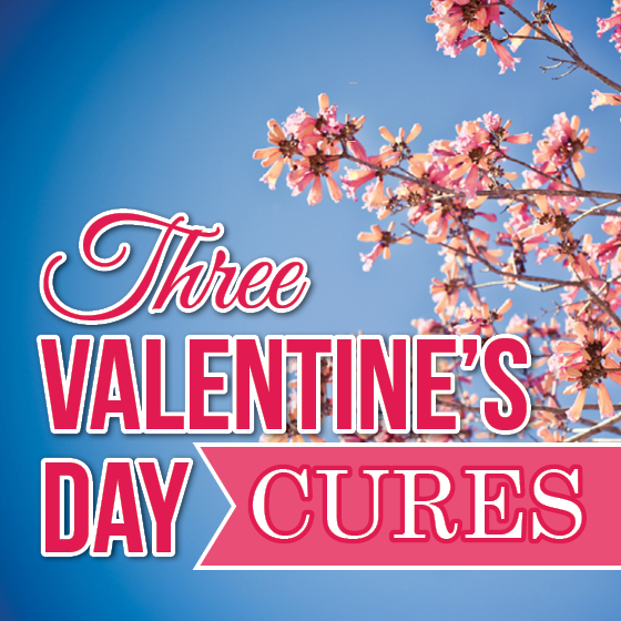 Valentine'S Day Guide 3 Daily Mom, Magazine For Families