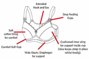 How to Choose the Right & Comfortable Maternity Bra 1 Daily Mom, Magazine for Families