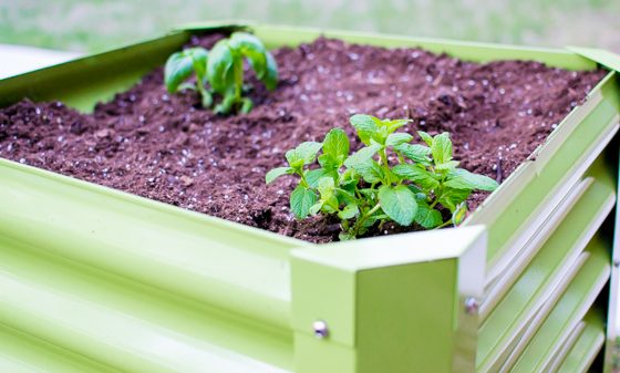 Eco-Friendly And Unique Ways To Garden 16 Daily Mom, Magazine For Families