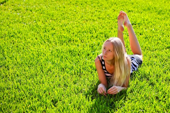6 Musts For Achieving A Beautiful Lawn 4 Daily Mom, Magazine For Families
