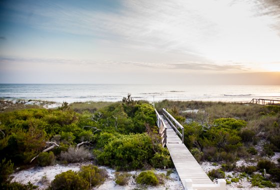 Adventure Awaits In Gulf County, Florida 3 Daily Mom, Magazine For Families