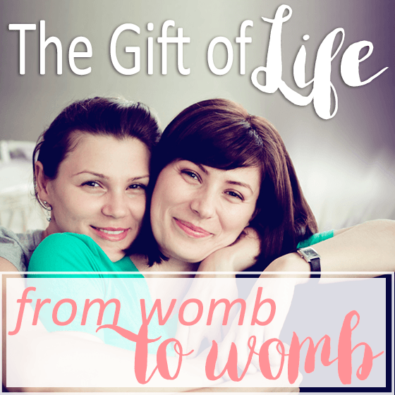 The Gift Of Life From Womb To Womb 1 Daily Mom, Magazine For Families