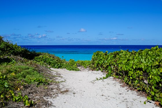 Everything You Need To Know About Travel To Turks & Caicos