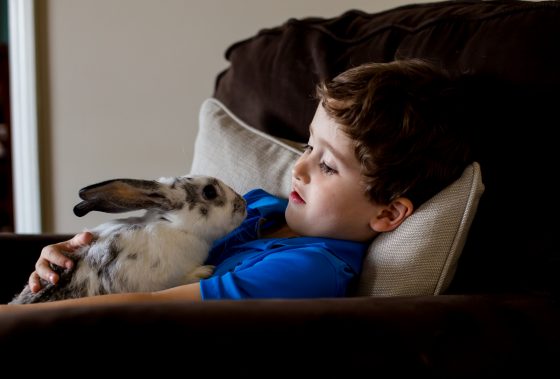 Owning A Bunny Beyond Easter 4 Daily Mom, Magazine For Families