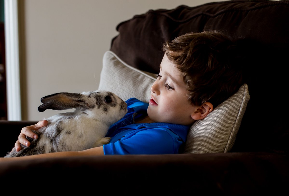 Owning A Bunny Beyond Easter » Read Now!