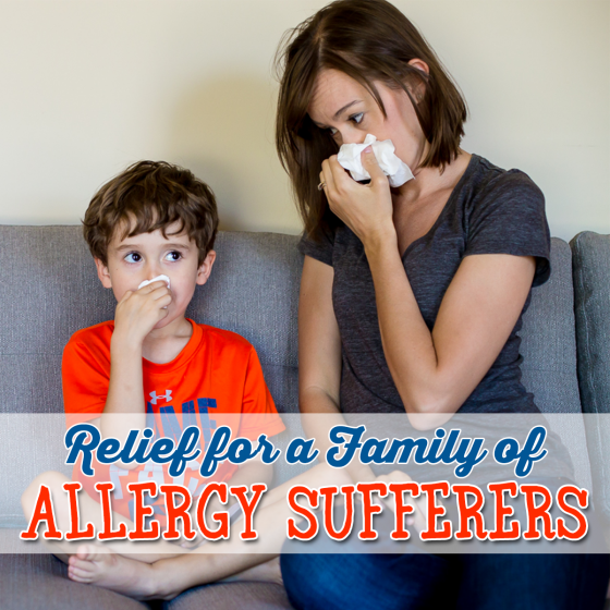 Relief For A Family Of Allergy Sufferers 8 Daily Mom, Magazine For Families