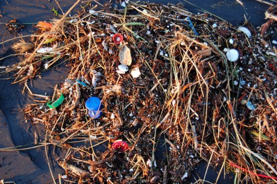 Plastic Oceans: The Epidemic That Is Ruining Our Oceans 2 Daily Mom, Magazine For Families