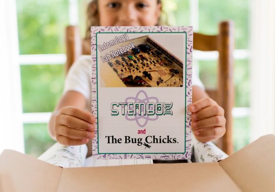 How We Get Back To School As A Homeschooling Family 19 Daily Mom, Magazine For Families