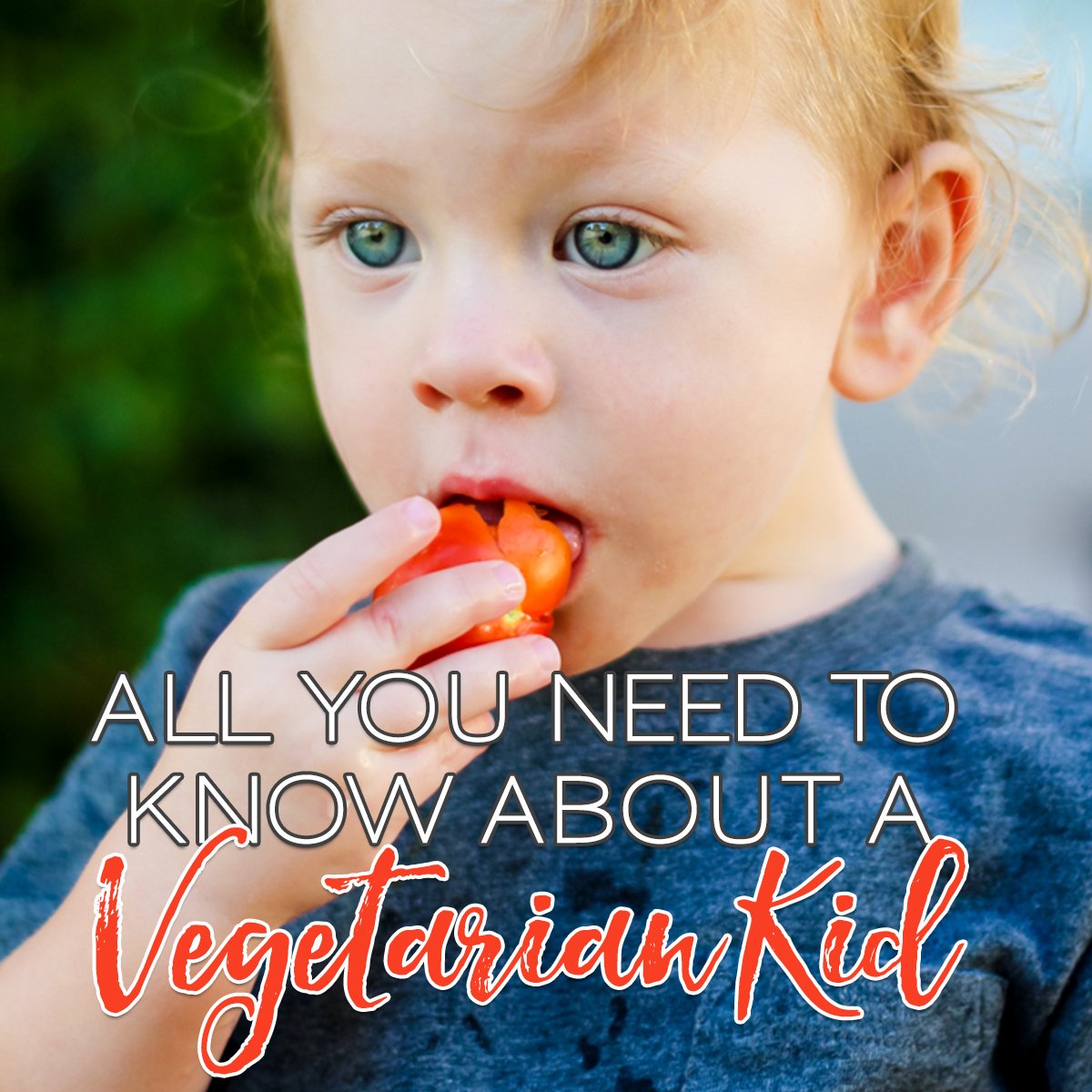 All You Need To Know About A Vegetarian Child 1 Daily Mom, Magazine For Families