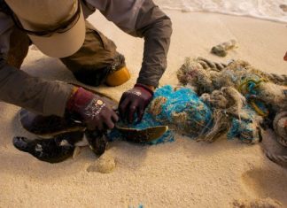 Plastic Oceans: The Epidemic That Is Ruining Our Oceans