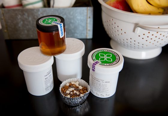 Legalization of Medical Marijuana and Parenting 2 Daily Mom, Magazine for Families Legalization Of Medical Marijuana And Parenting 2 Daily Mom, Magazine For Families