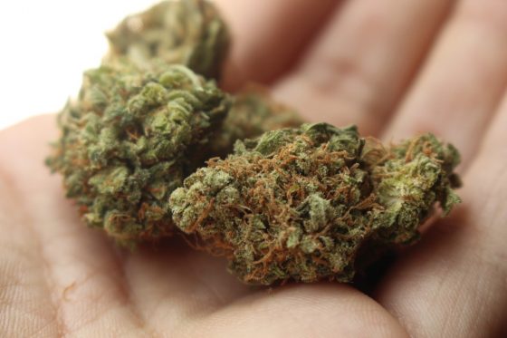 Legalization of Medical Marijuana and Parenting 5 Daily Mom, Magazine for Families Legalization Of Medical Marijuana And Parenting 5 Daily Mom, Magazine For Families