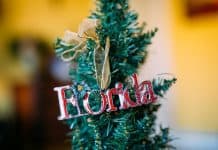 Holiday Decor, Florida Style