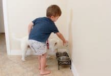 5 Things To Consider Before Adopting A Pet
