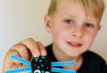 Make Baby Bugs With Grandsons
