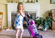 Pet Gear You Should Be Cleaning More Often Than You Are