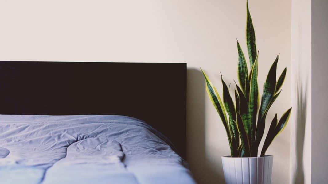 How Clean Is The Air In Your Home?