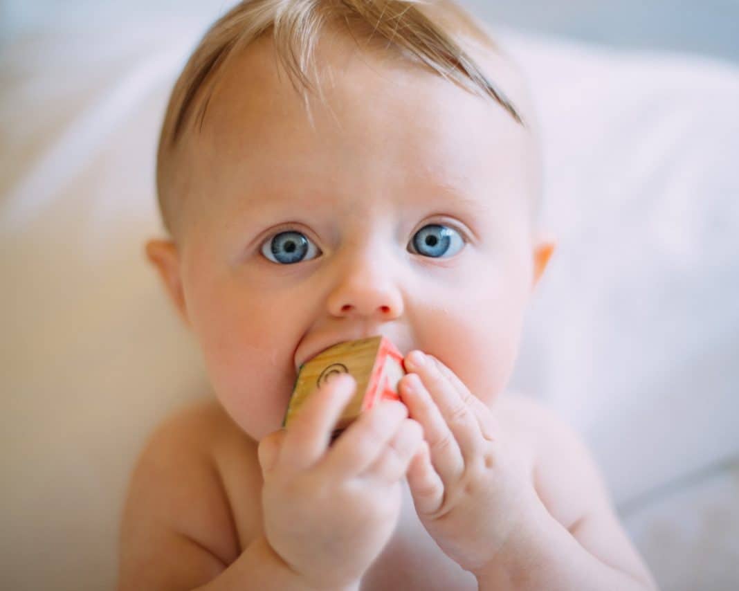 Fashion For Babies - Little Me Spring Summer 2014