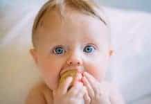 Fashion For Babies - Little Me Spring Summer 2014