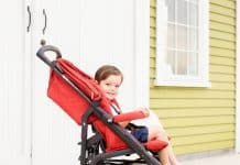 Summer Strolls With Inglesina