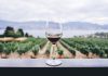 Picking The Right Cabernet Sauvignon For You