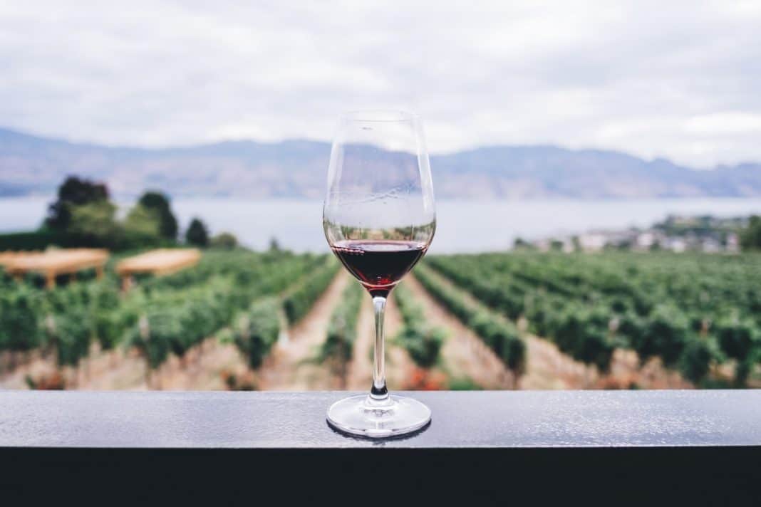 Picking The Right Cabernet Sauvignon For You
