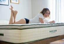 Going Green with Avocado Green Mattress Going Green With Avocado Green Mattress