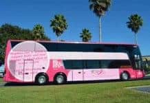Book With Megabus And Help Fight Breast Cancer