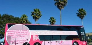 Book With Megabus And Help Fight Breast Cancer