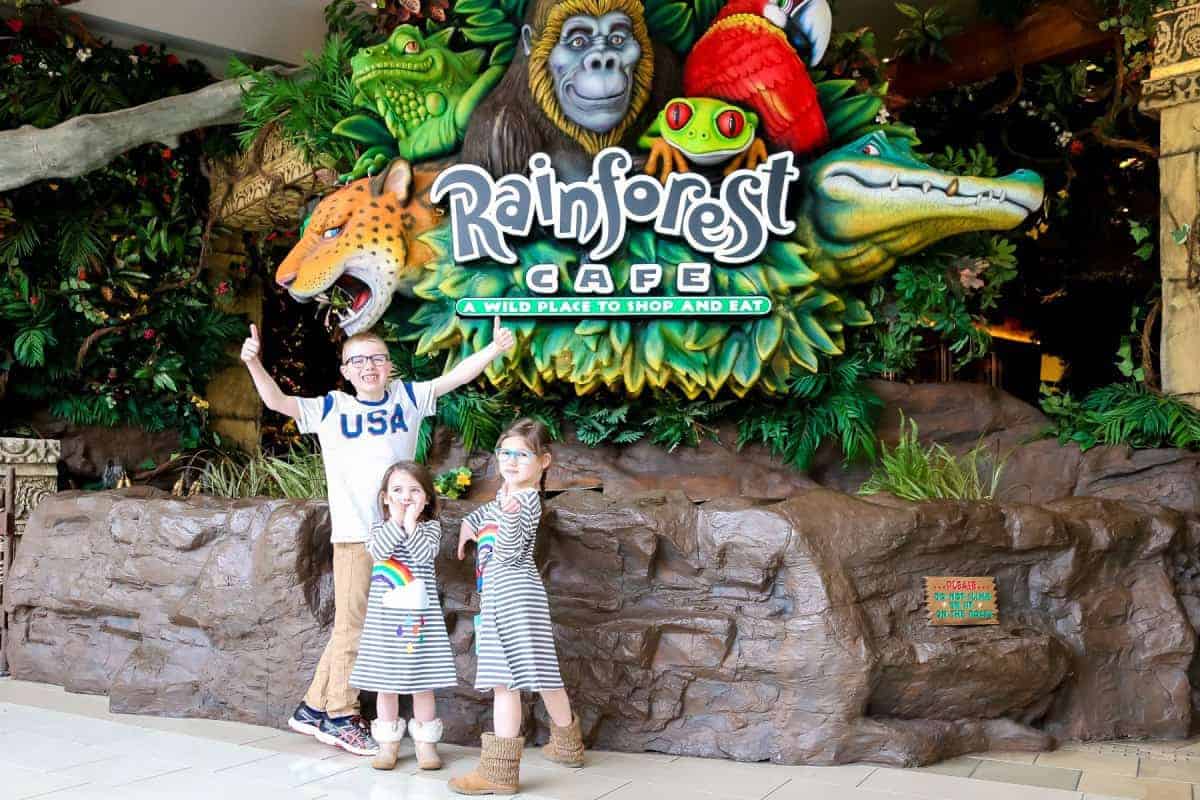Amazing Things To Do At Mall Of America With Kids