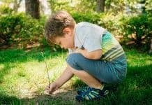Screen Time Summer Rules For Kids