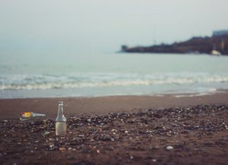 Help Eliminate Plastic In The Ocean With These Products