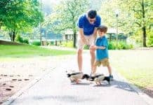 10 Parenting Lessons To Learn From The Walking Dead