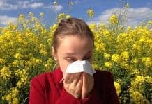 Everything You Ever Wanted to Know about Seasonal Allergies Everything You Ever Wanted To Know About Seasonal Allergies