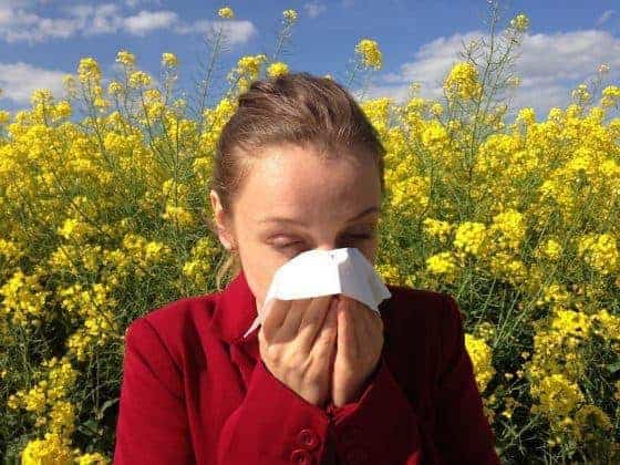 Everything You Ever Wanted To Know About Seasonal Allergies