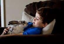 Owning A Bunny Beyond Easter