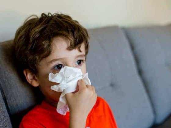 Relief For A Family Of Allergy Sufferers