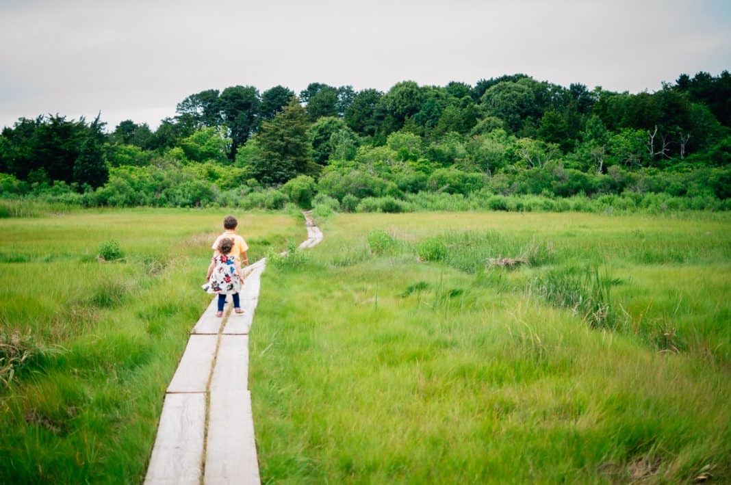 How Our Unplugged Summer Worked Out