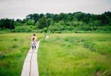 How Our Unplugged Summer Worked Out