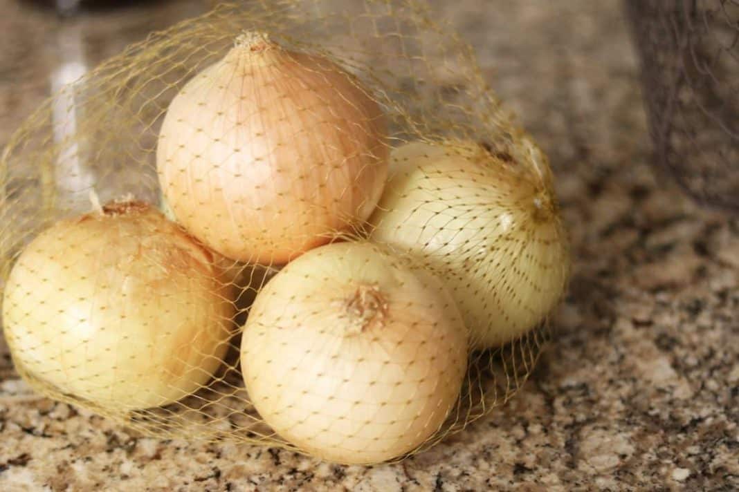 10 Foods You Can Regrow In Water 10 Foods You Can Regrow In Water