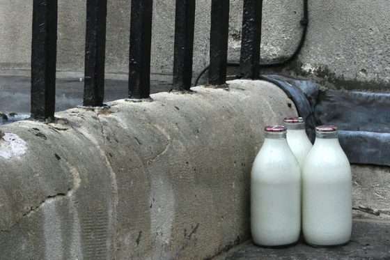 4 Reasons You Should Have Your Milk Delivered