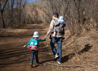 Five Family Friendly Colorado Hikes