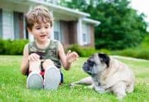 Helping Kids Understand the Death of a Pet Helping Kids Understand The Death Of A Pet