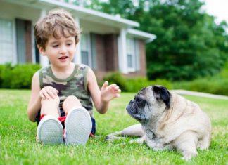 Helping Kids Understand The Death Of A Pet