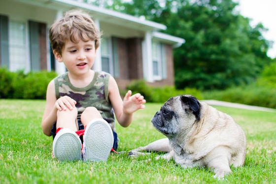 Helping Kids Understand The Death Of A Pet