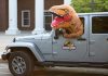 Back To School Photos: A Little Dino Heads To School