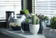 Natural Air Cleaning Tips