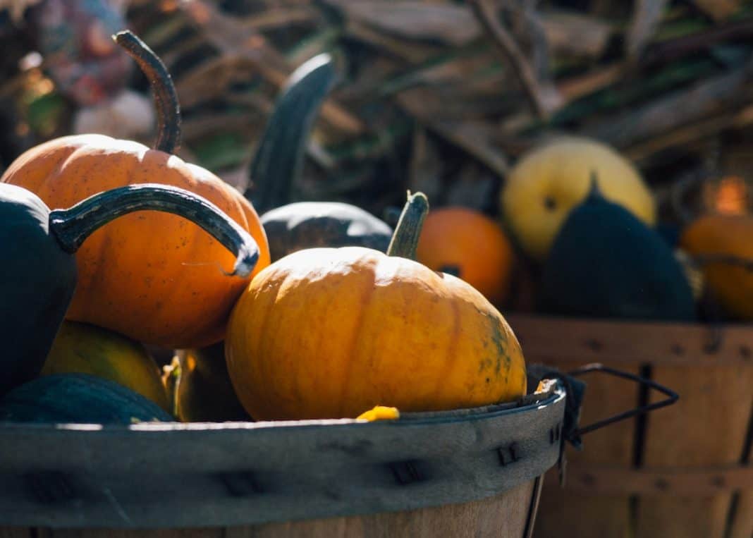 15 Pumpkin Spice Items You Need For Fall